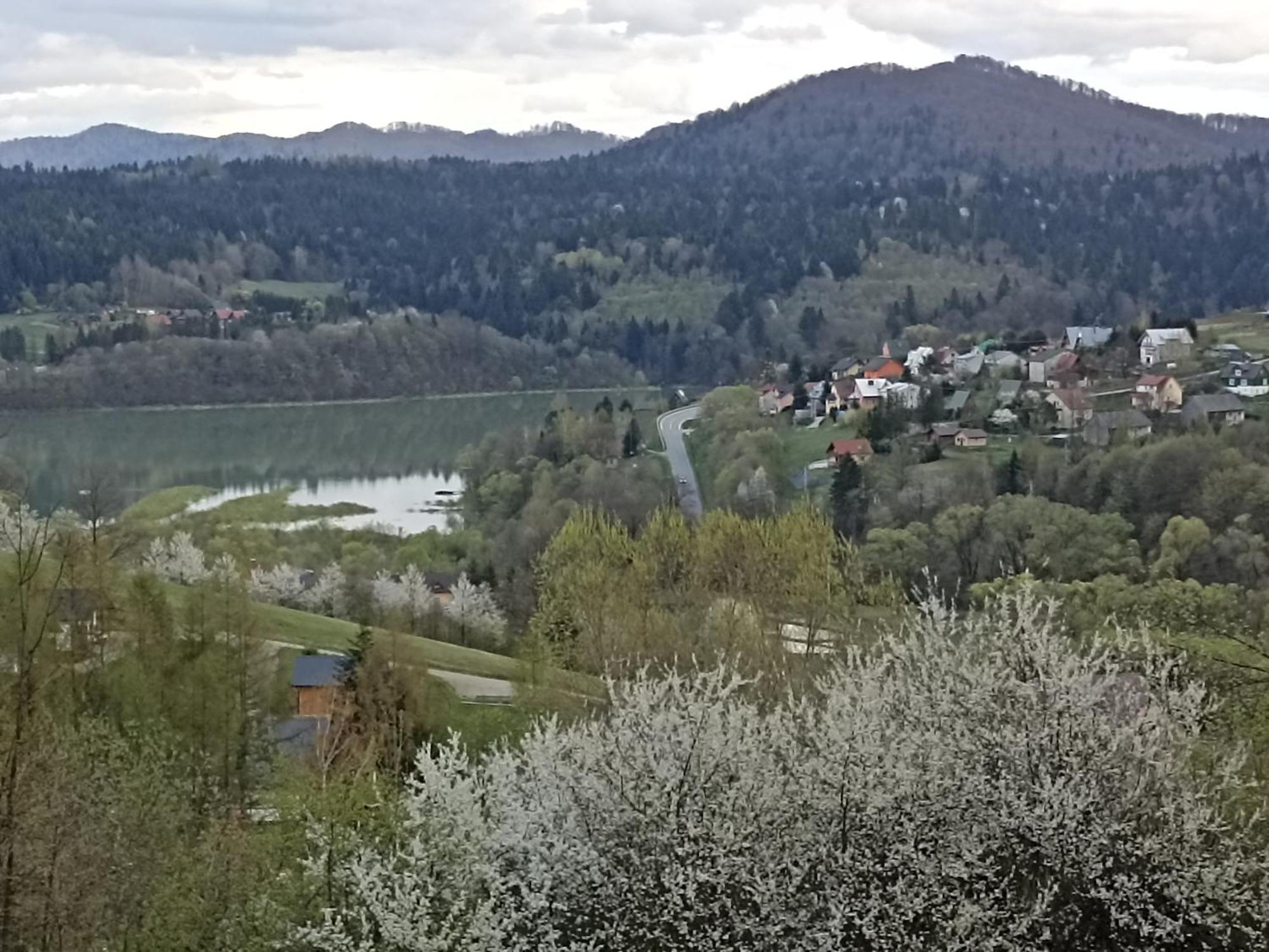 Apartamenty I Domki Wolkowyja Camera foto